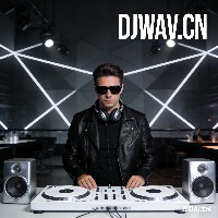 陈雪凝 - 灰姑娘 (DJFalg Breakbeat Mix)