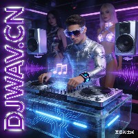 陈粒 - 小半 (DJFalg  Breakbeat Mix)