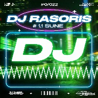 雷安娜 - 旧梦不须记 RinV LakHouse 2025 Mix